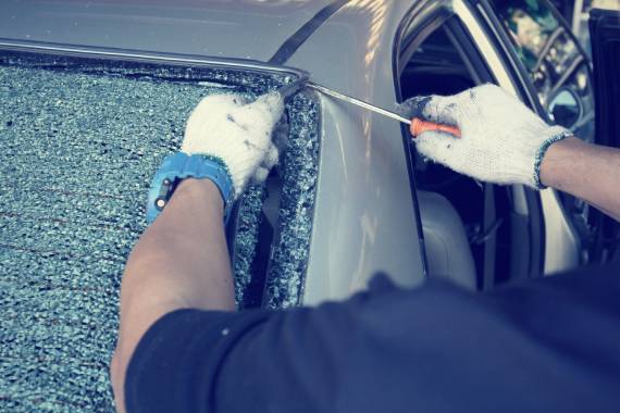New Vision Auto Glass Plus Tint